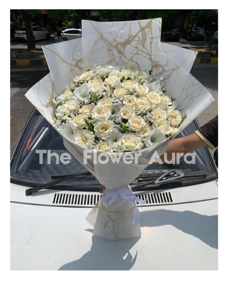 8ae23aa4-d09c-4650-b23a-5495ab5605ad