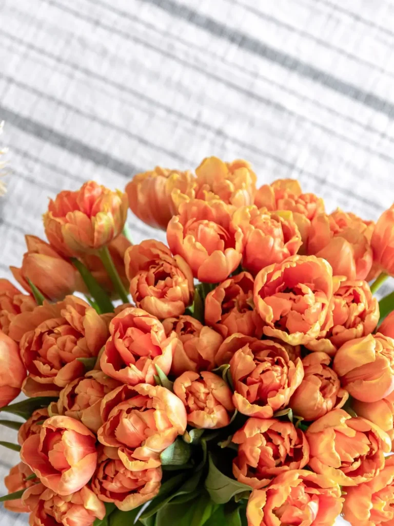 peach blossom bouquet