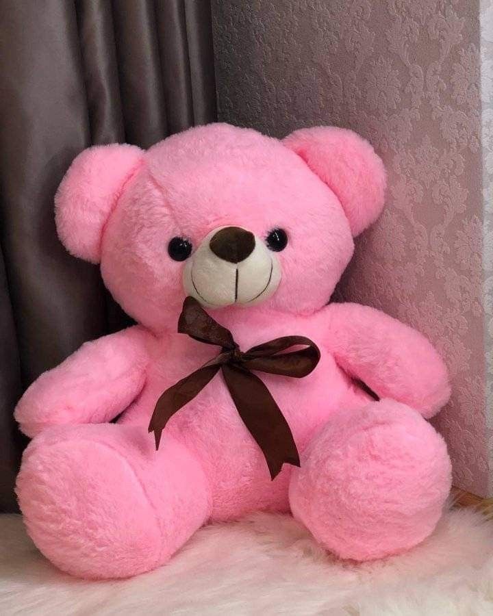 3 Feet Pink Teddy