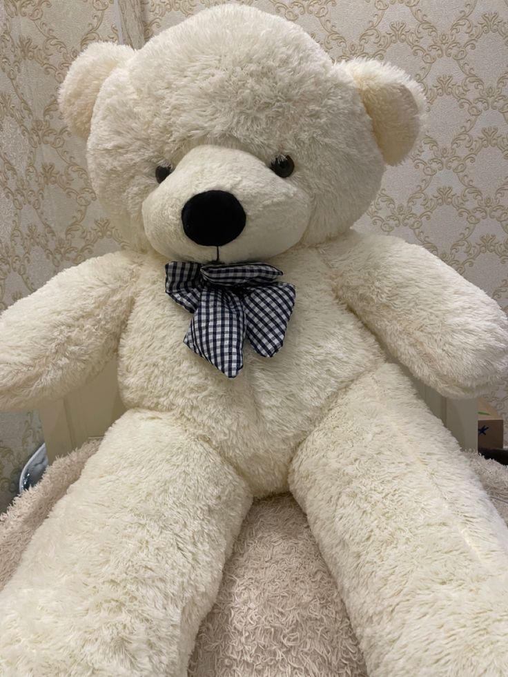 6Feet Cute Teddy