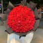 200 Roses Special Bouquet(Long stem)